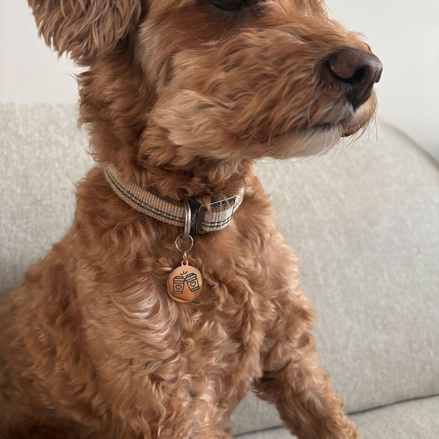 Dog with Round Rose ID Tag