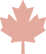 Pink maple leaf icon on a white background